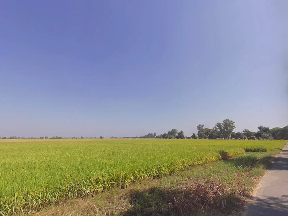 Lehragaga, Punjab 148031, India