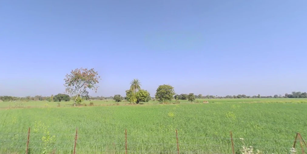 Bhopal - Indore Rd, Avadhpuri Colony, Sehore, Madhya Pradesh, India