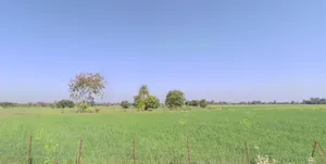 Bhopal - Indore Rd, Avadhpuri Colony, Sehore, Madhya Pradesh, India preview 3