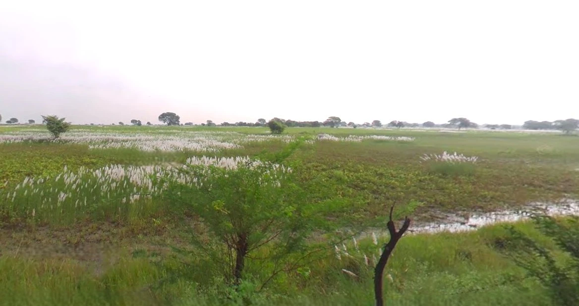 Gurugram, Haryana, India