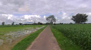 Muskara, Uttar Pradesh 210506, India preview 2