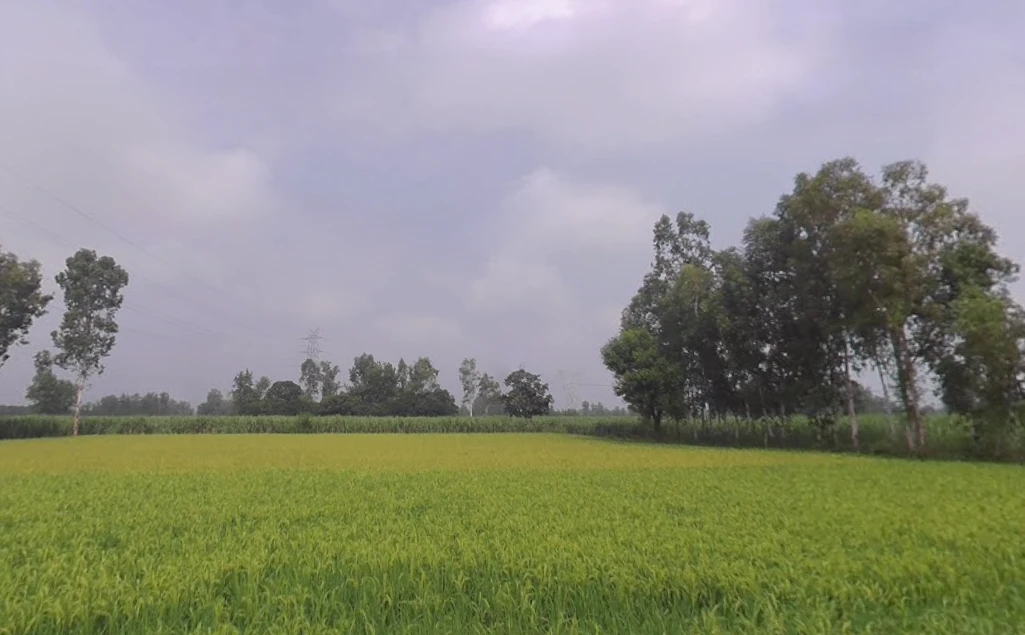 Q3QJ+F5Q, Old Delhi Rd, Shahpur Chaudhary, Garh Mukteshwar, Uttar Pradesh 245205, India