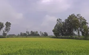 Q3QJ+F5Q, Old Delhi Rd, Shahpur Chaudhary, Garh Mukteshwar, Uttar Pradesh 245205, India preview 3
