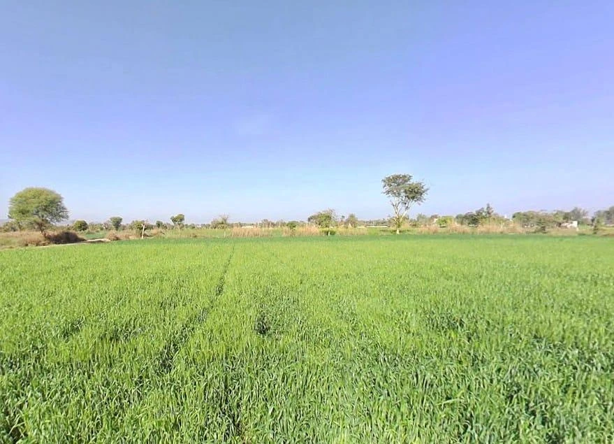 9X9C+2CJ, Barodakan, Rajasthan 321607, India
