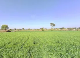9X9C+2CJ, Barodakan, Rajasthan 321607, India preview 2