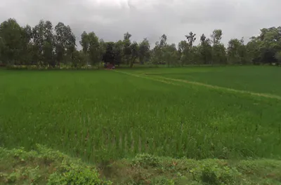 8M4M+HC Rashulpur Bahanpur, Uttar Pradesh, India preview 3