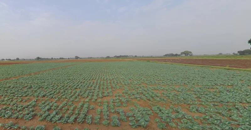 Viramgam, Gujarat 382150, India preview 2