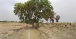 Bikaner, Rajasthan, India preview 2