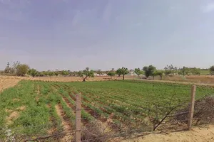 M9QC+CJV, RJ SH 37B, Rampura, Rajasthan 333303, India preview 2