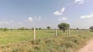 C3J9+4QG Ronit pro, Basni Lachhan, Rajasthan 342305, India preview 3