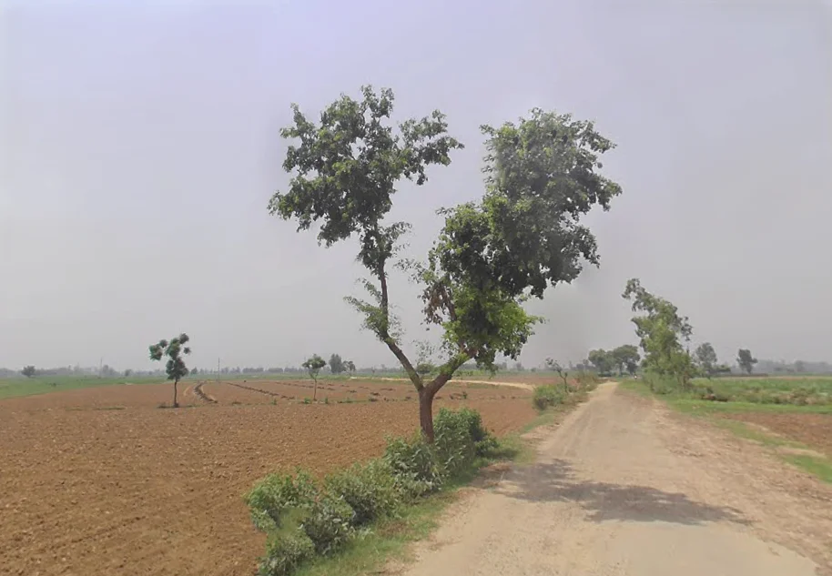 Bhawanipur, Uttar Pradesh, India preview 2