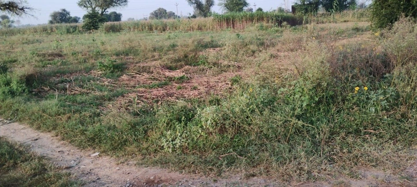 Rajgarh, Rajasthan 301408, India preview 3