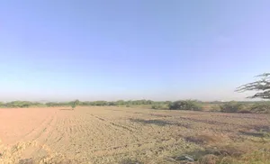 Pali, Rajasthan 306401, India preview 2