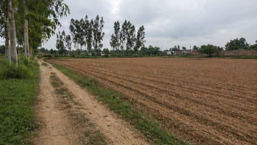 Barhana, Uttar Pradesh, India preview 3