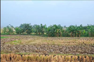 Kapsiya Kalan, Chhattisgarh 495112, India preview 3