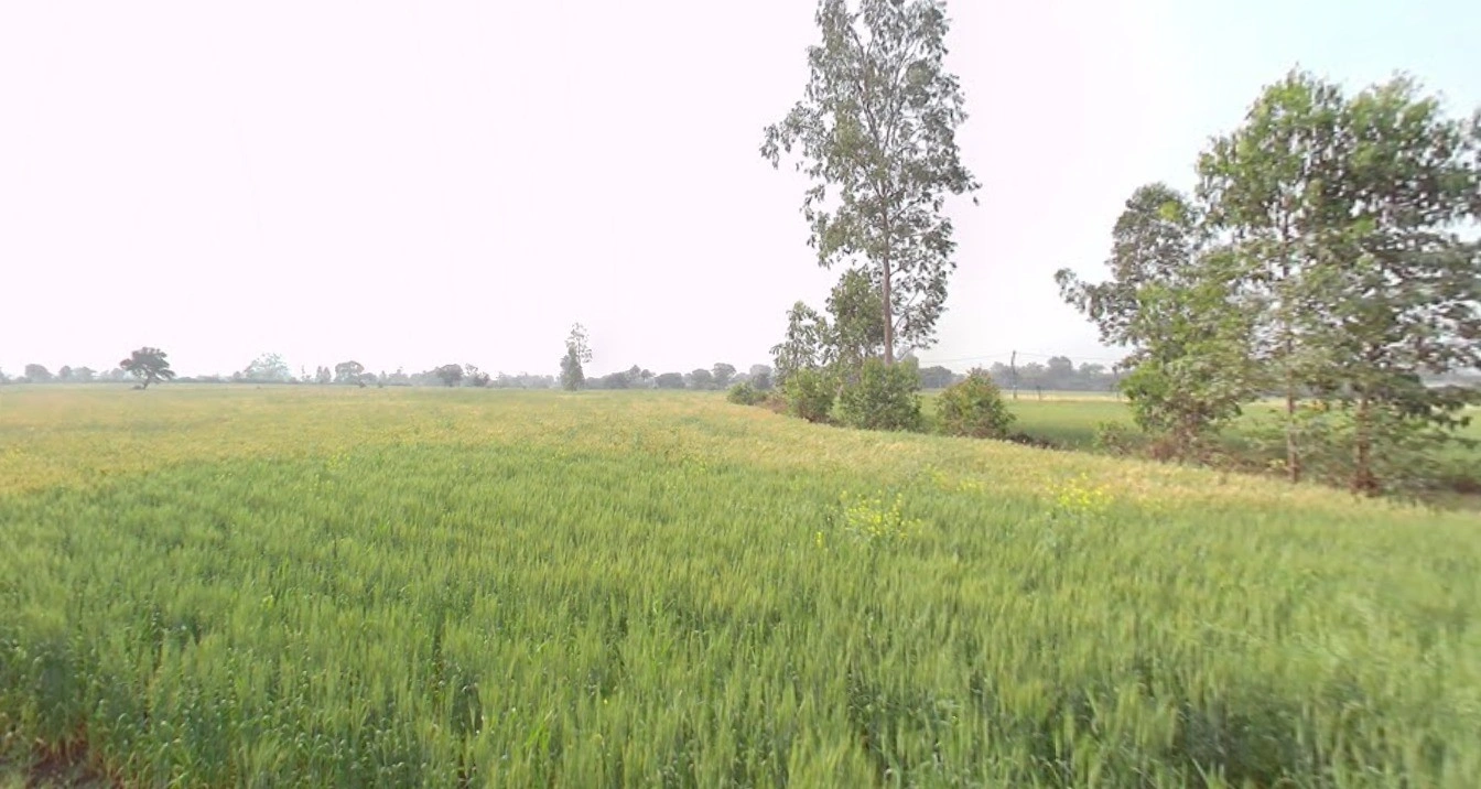 C8X8+HVC, Unida, Madhya Pradesh, India