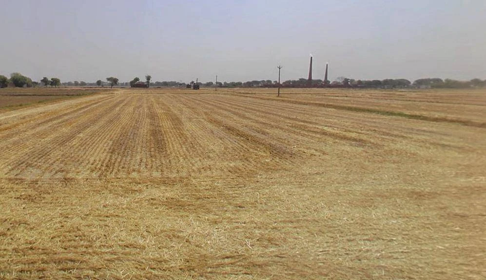 Dayalpur, Haryana, India