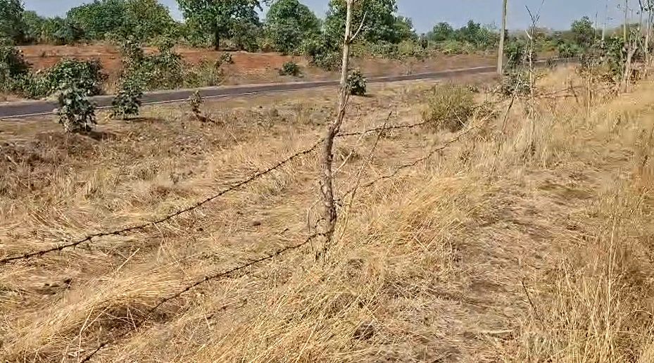 Dabra, Madhya Pradesh 475110, India