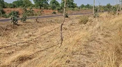 Dabra, Madhya Pradesh 475110, India preview 3