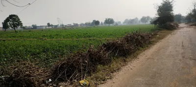 R3H2+QX Dagru, Moga, Punjab, India preview 3