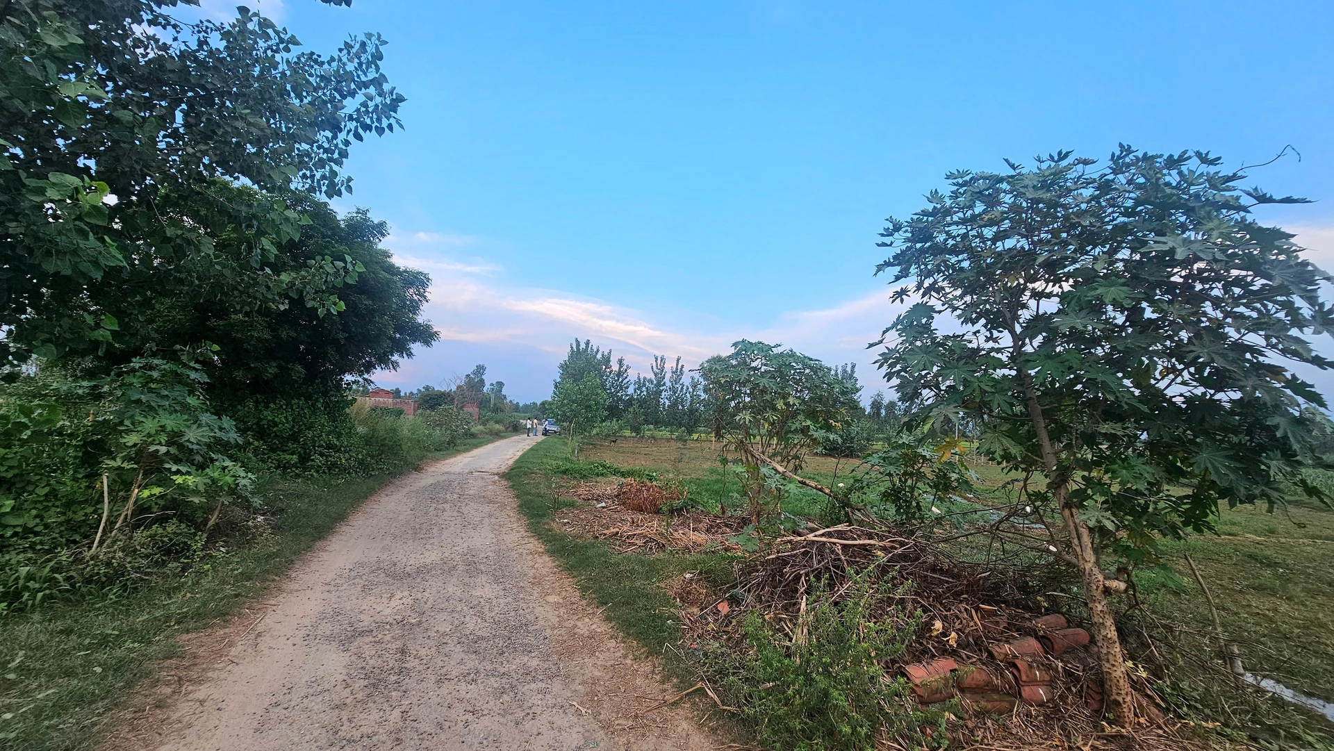 Patna, Faridpur, Bareilly, Uttar Pradesh, India