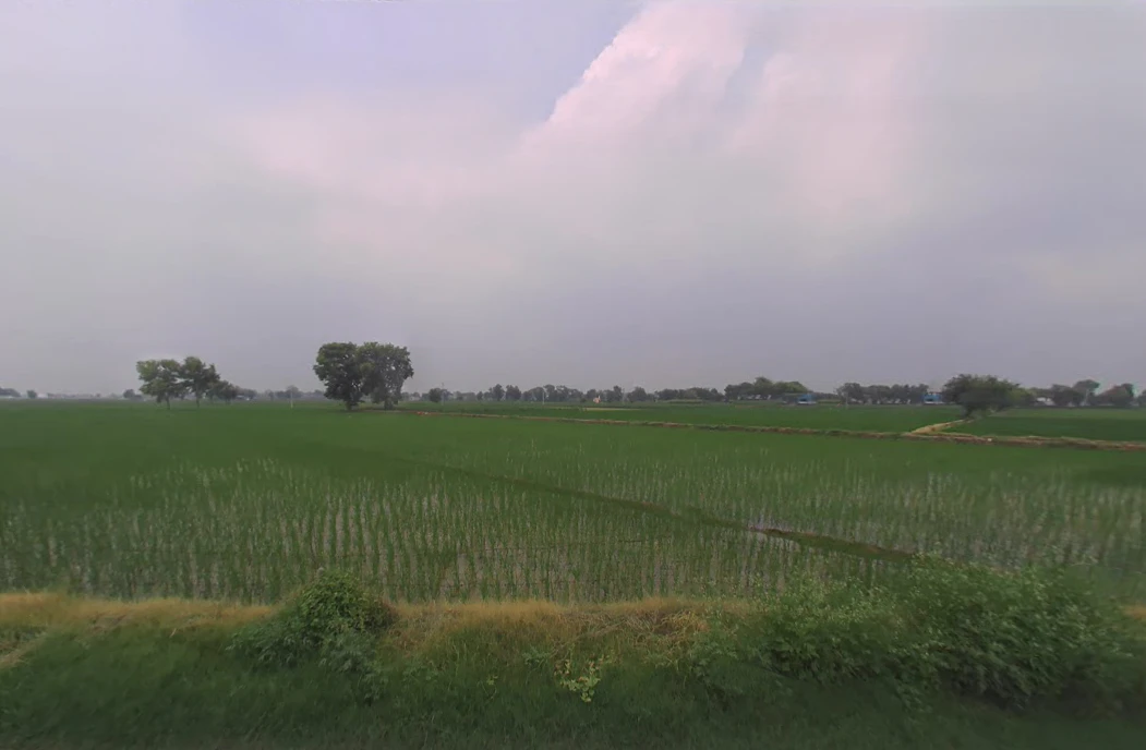 Bighar, Haryana 125050, India