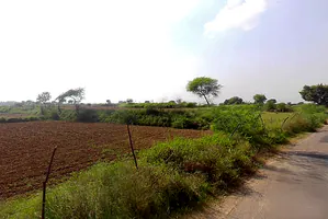 Nibhana, Uttar Pradesh, India preview 2