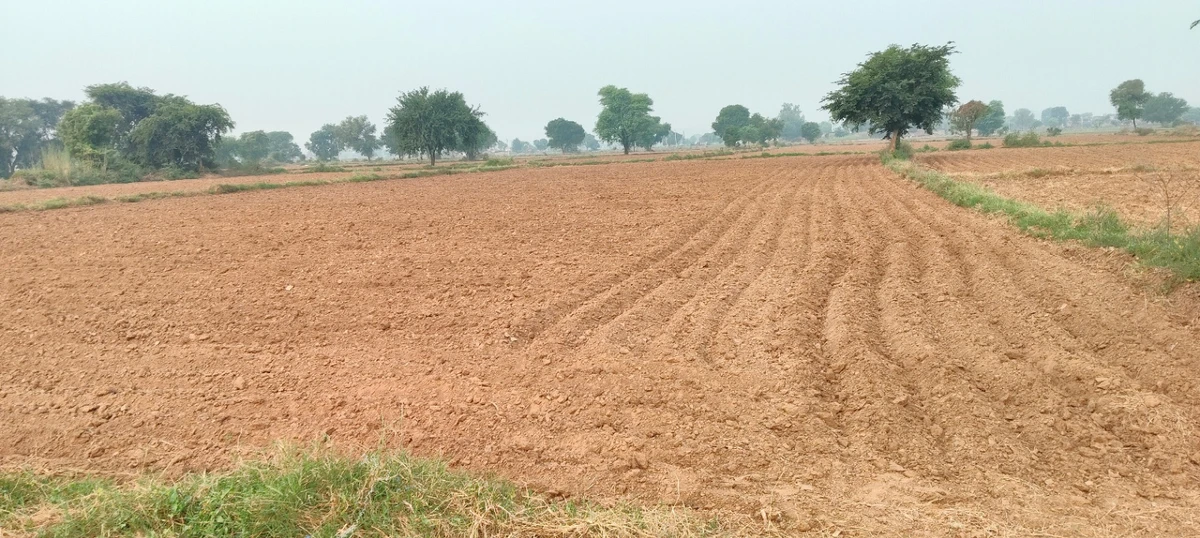 Chidwai, Rajasthan 301026, India