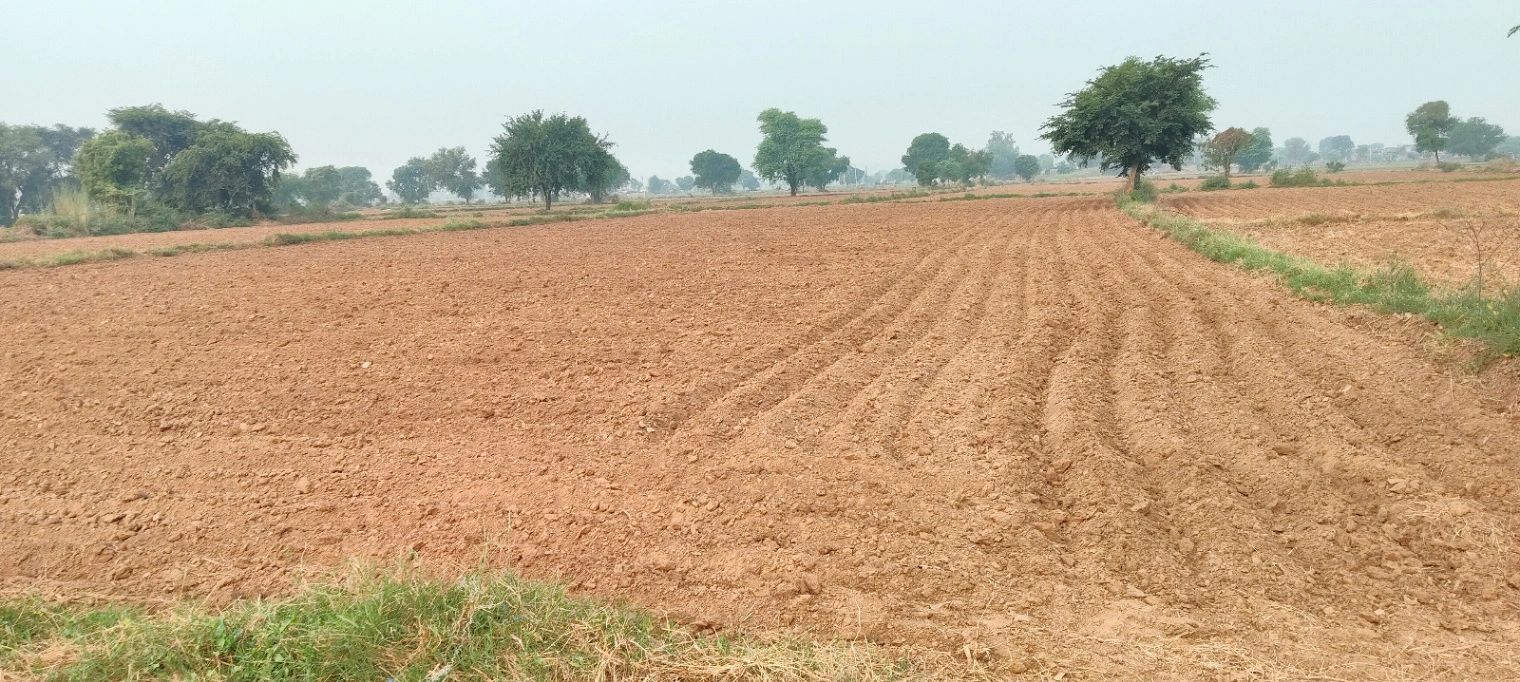 Chidwai, Rajasthan 301026, India