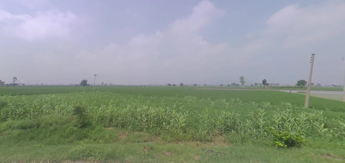 Kalheri, Haryana 132114, India