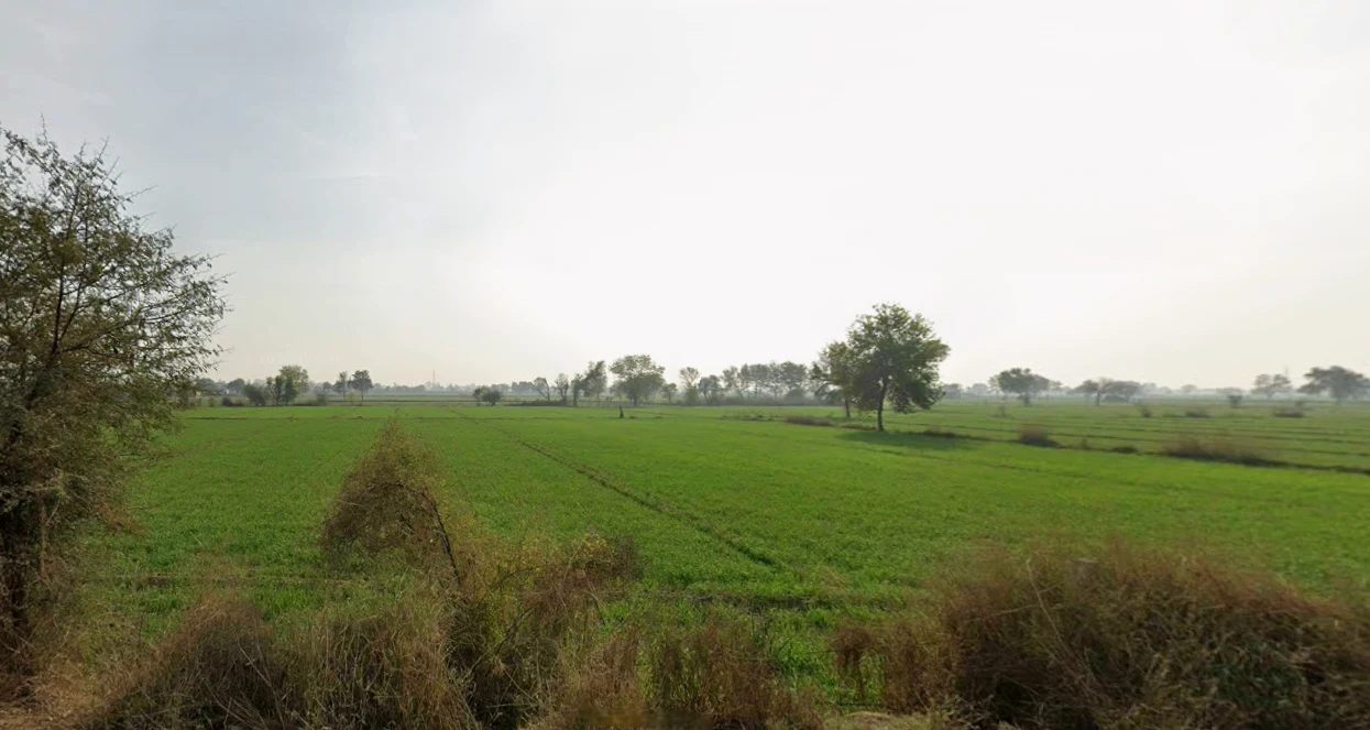 Kaimri, Haryana 125005, India
