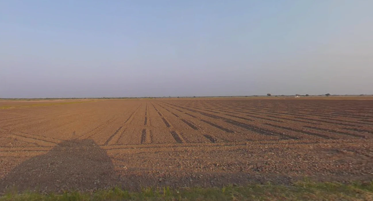 Radhu, Gujarat 387560, India