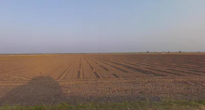 Radhu, Gujarat 387560, India preview 3