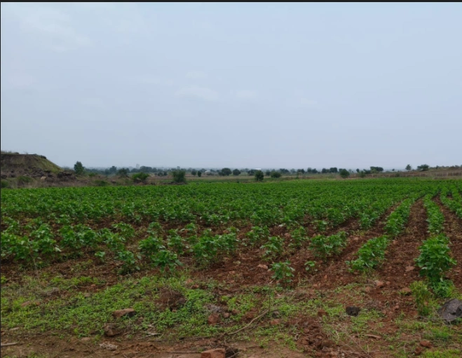 Sultanpur, Raisen, Madhya Pradesh 464986, India