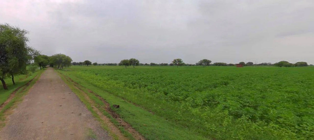 Haridwar, Uttarakhand, India