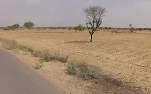 Salera, Rajasthan, India preview 2