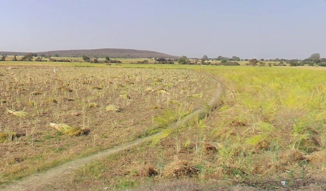 Ghatiya, Madhya Pradesh 456550, India