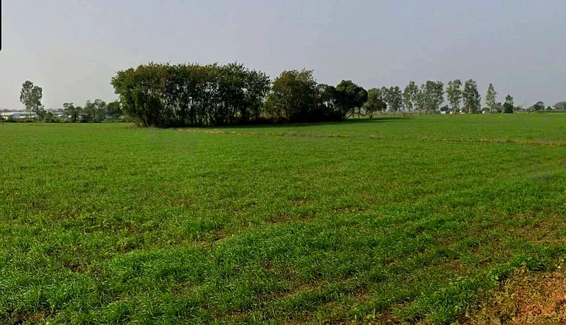 Shujalpur, Madhya Pradesh 465333, India preview 2