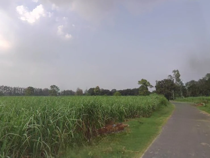 Khirwa Rd, Nangla Tashi, Meerut, Uttar Pradesh, India