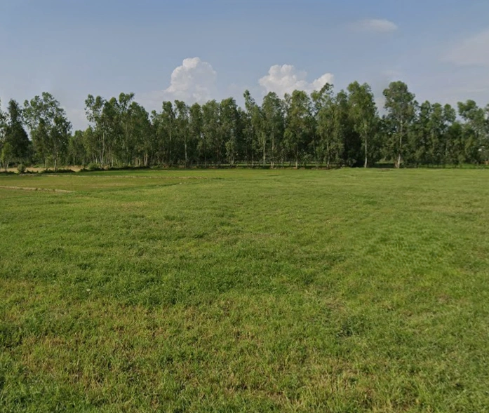 Faridpur, Uttar Pradesh 243503, India