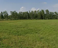Faridpur, Uttar Pradesh 243503, India preview 3