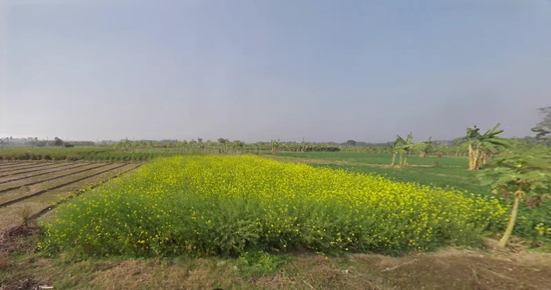 Sendanga, West Bengal 743272, India preview 2