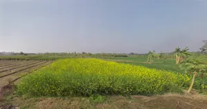 Sendanga, West Bengal 743272, India preview 2