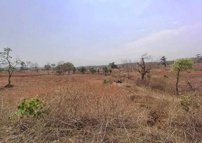 5M2R+57 Teela, Rajasthan, India preview 2