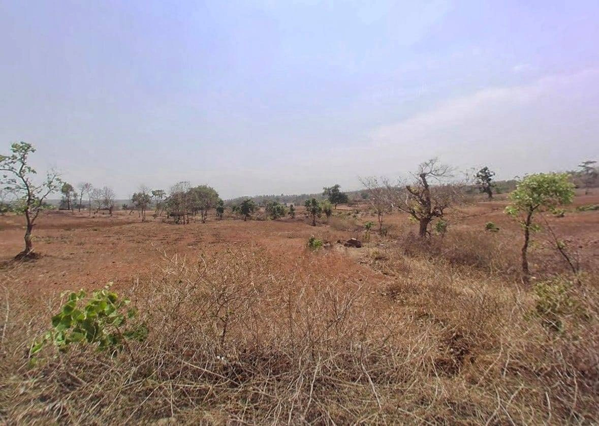 5M2R+57 Teela, Rajasthan, India