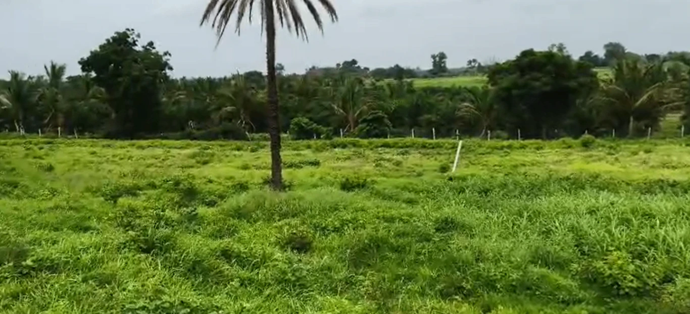 GQR9+4WH, Vikarabad, Marpalle Kalan, Telangana 501202, India