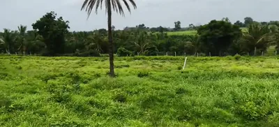 GQR9+4WH, Vikarabad, Marpalle Kalan, Telangana 501202, India preview 4