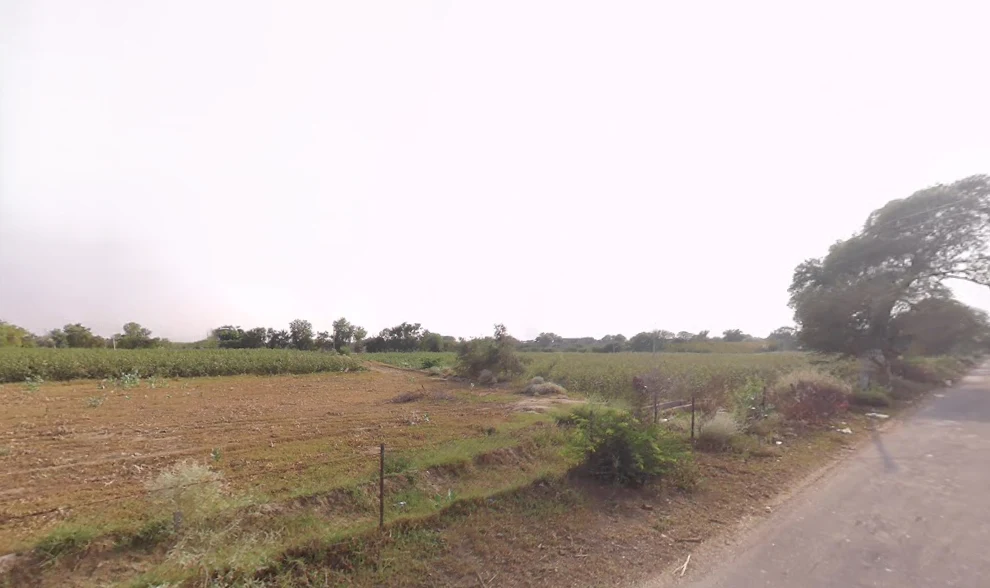 Kaluana, Haryana 125103, India