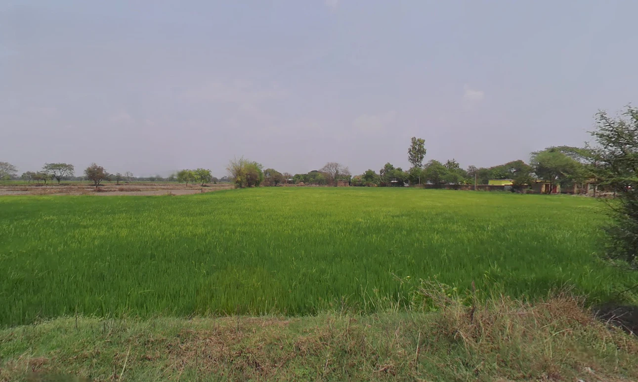 Changori, Chhattisgarh 491001, India