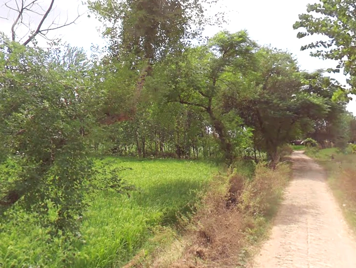 Gangapur, Uttar Pradesh 203393, India